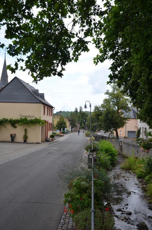 Altes Winzerhaus - Ferienhaus Burgen  エクステリア 写真