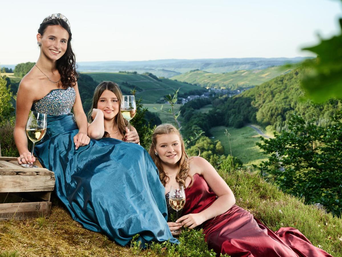 Altes Winzerhaus - Ferienhaus Burgen  エクステリア 写真